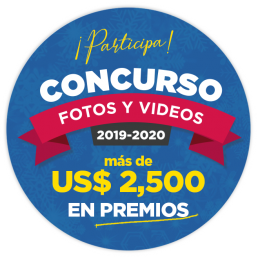 Concurso de Fotos y Videos USE